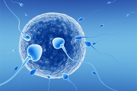 http://wenzhou.quanwangkm.com/post/218.html|温州新闻中心